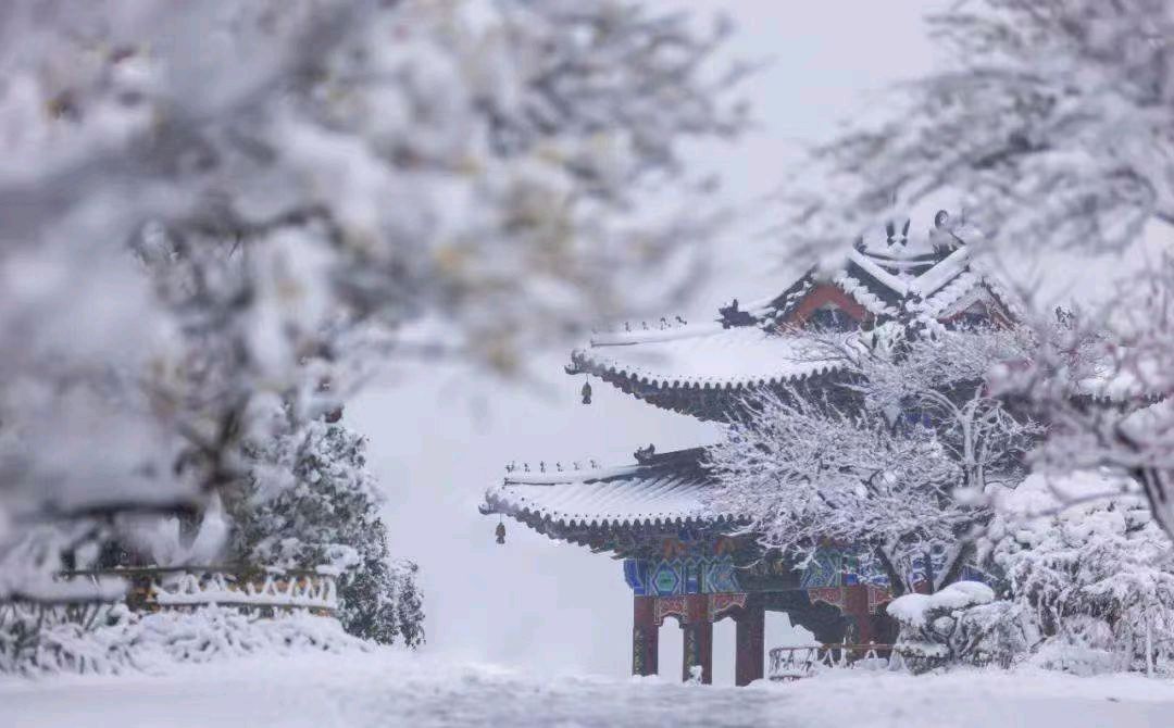 【明心文学】老孙/借雪明了漂泊的心 主播/薇薇(图3)