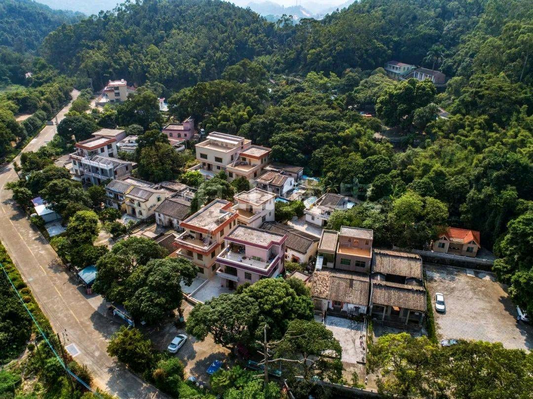 【作家专刊】五桂擎南天 万古铭青史——著名革命老区五桂山情思‖冯创志 罗学华 杨林（图9）