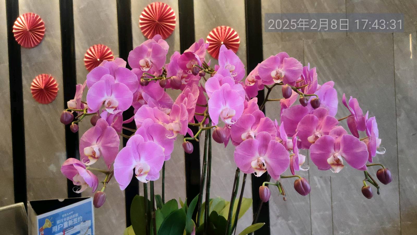 中华新韵~七绝诗/詹成