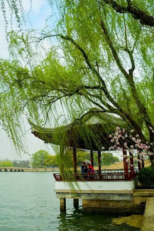 高满京:《春风》/中华诗艺社黑龙江分社推荐【2025第089期】（图4）