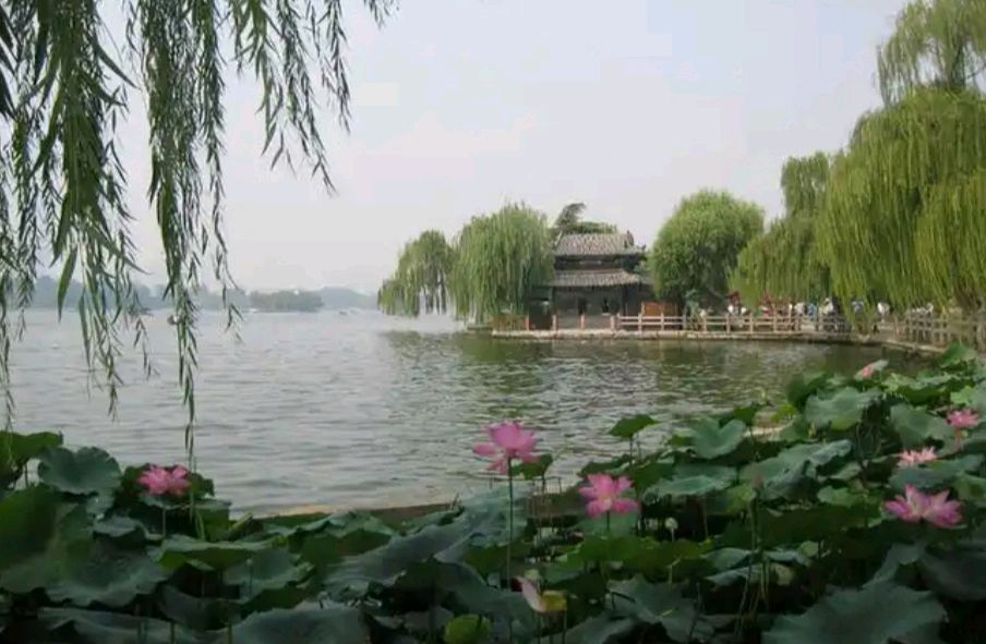 790沈守华诗选：春 吟（图9）