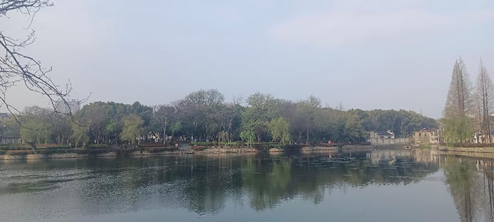 中国安徽省无为市诗词学会优秀作品选(2025春节)海外头条（图7）