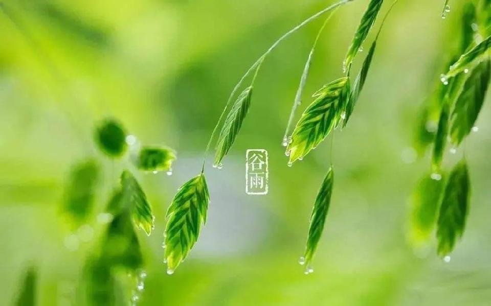 中国安徽省无为市诗词学会优秀作品选(2025春节)海外头条（图23）