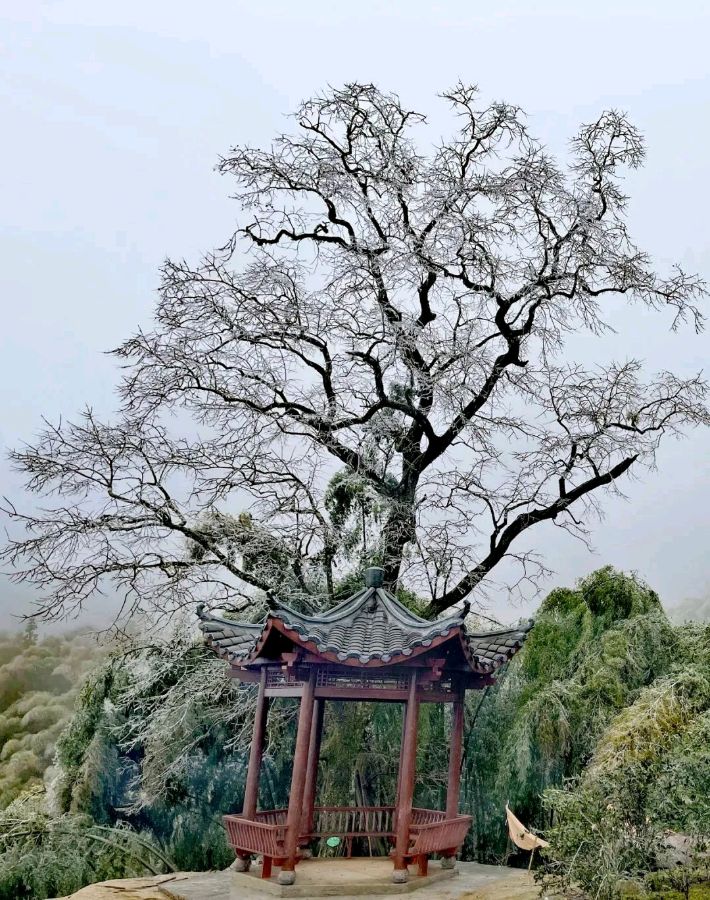 春寒料峭/作者：李庆明（图3）