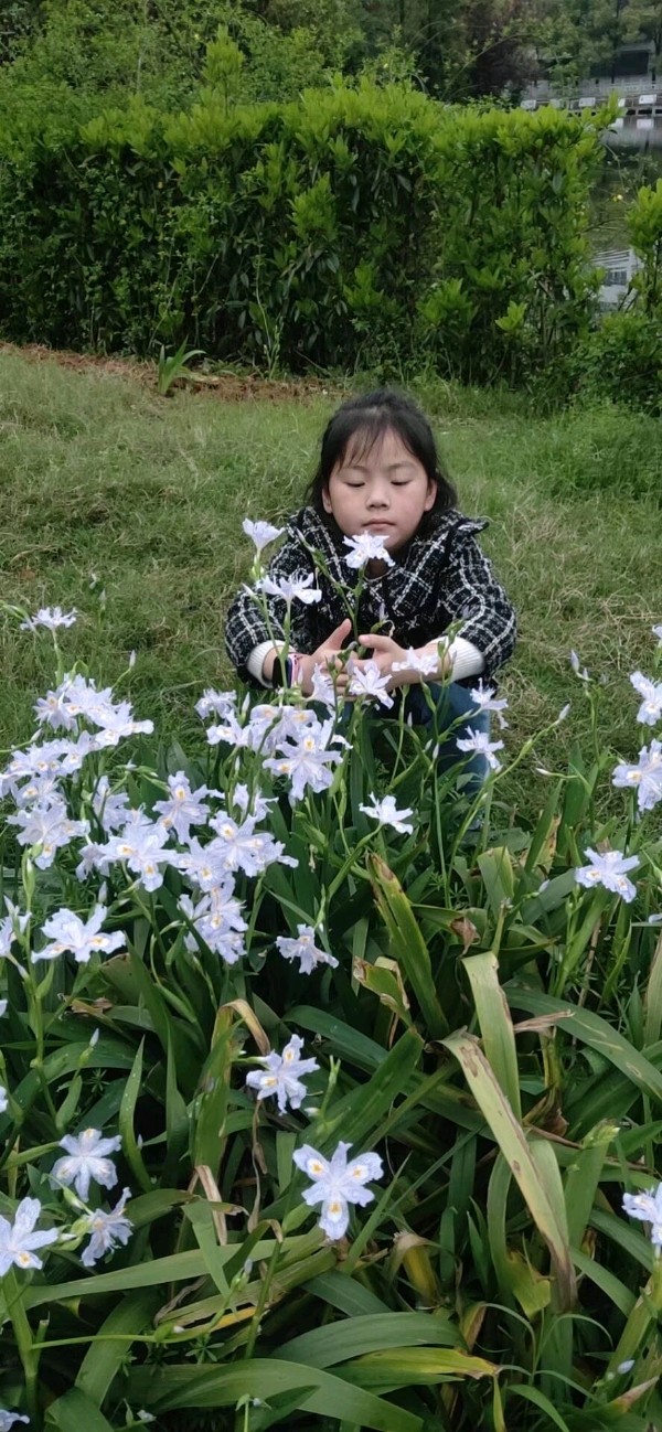 谭羽绮小姑娘元宵节的作文（图4）