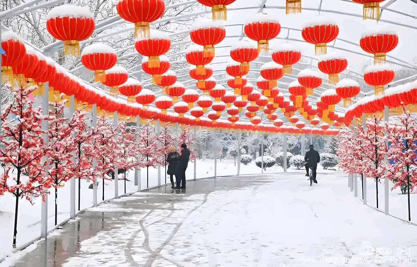请您欣赏牟净文老师的佳作 元宵节（外一首）诵读/建萍（图4）