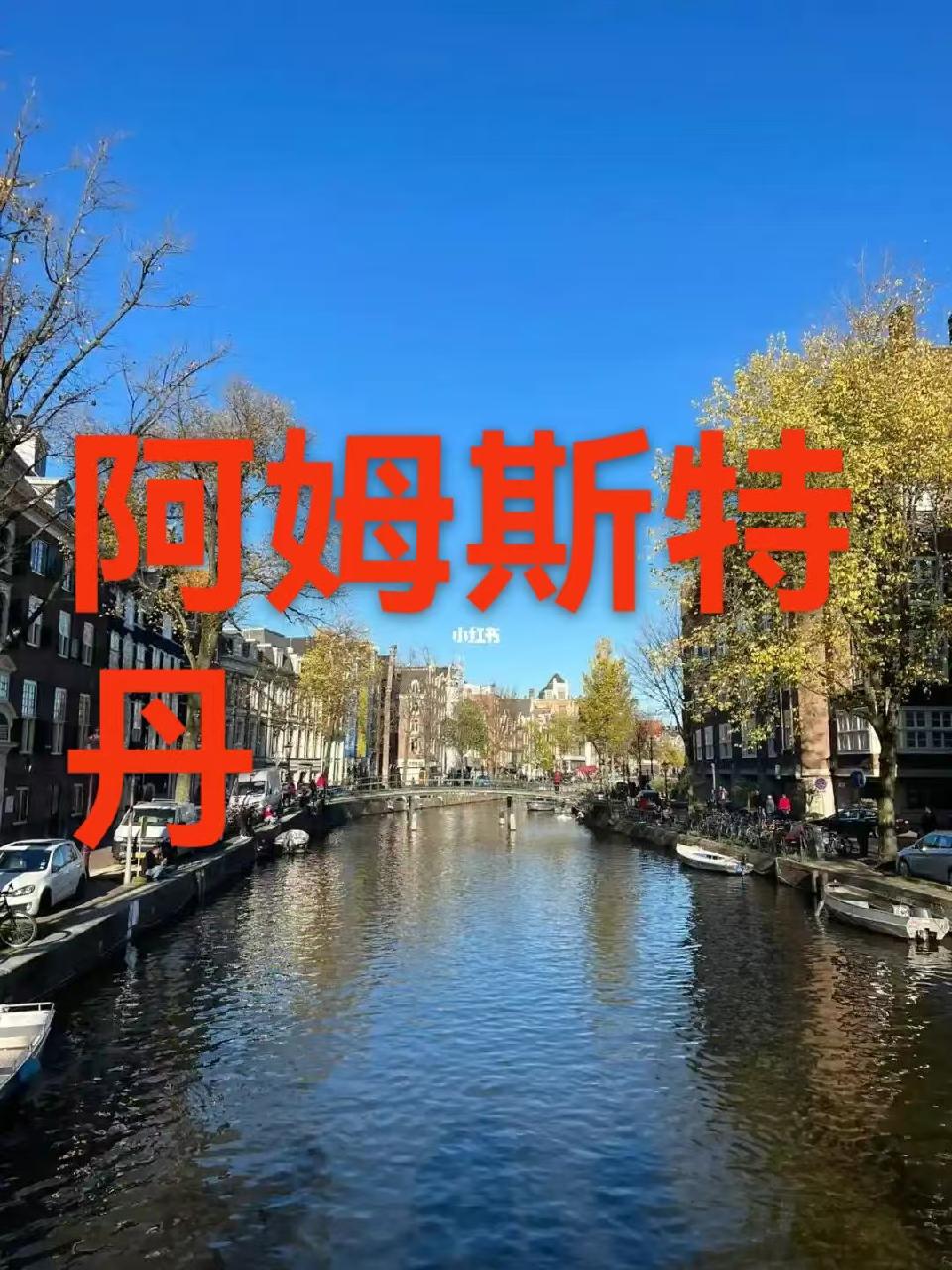 （叙事散文诗）阿姆斯特丹 ：作者||丁培恭｜海外头条（图6）
