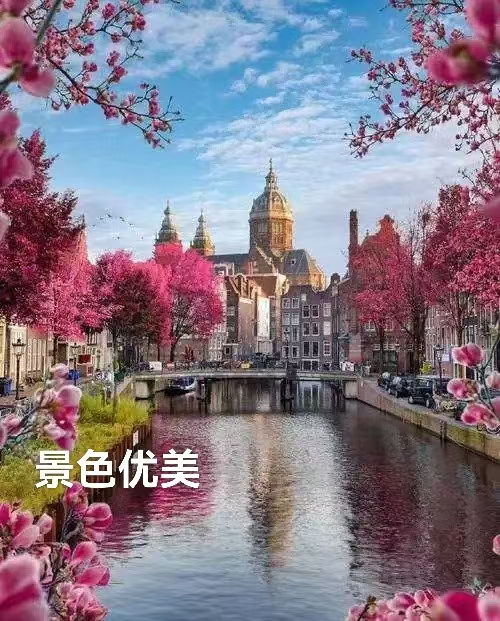 （叙事散文诗）阿姆斯特丹 ：作者||丁培恭｜海外头条（图9）