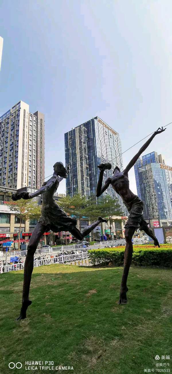 二月的玫瑰/黄桂标(图9)