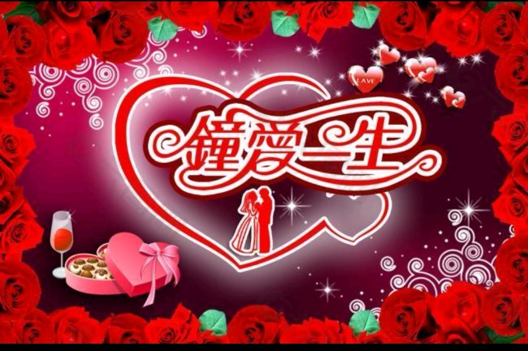 二月的玫瑰/黄桂标(图12)