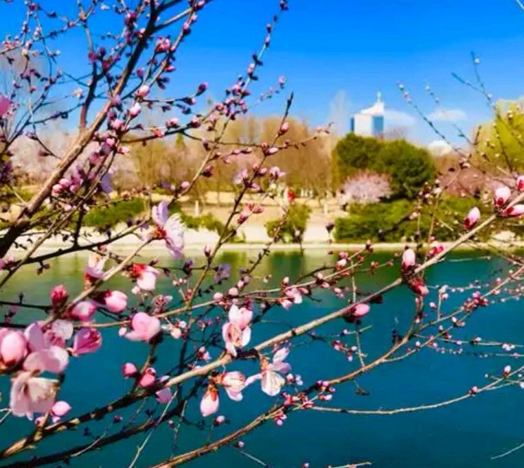 796王建群诗选：元宵节乐游（图5）
