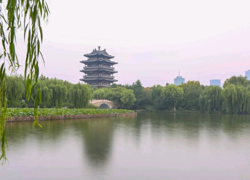 796王建群诗选：元宵节乐游（图7）