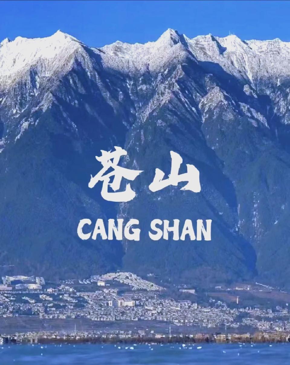 杨琀：《苍山是一座孤独的城堡》海外头条（图5）