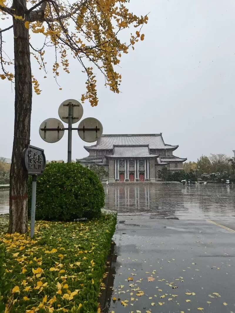 刘筱：《坐在热闹的中间》海外头条（图5）