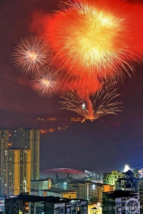 庆元宵(2025)（图5）