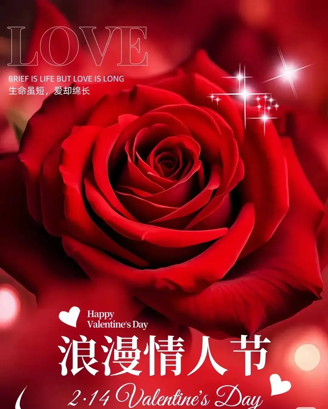 【荣耀中国】情人节文/童华（四川成都）（图2）