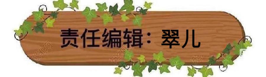 东渡诗社:二月刊(总期第五十七期)2025年|海外头条(图29)