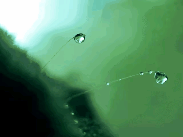 【荣耀中国】文·春雨刘斌（图2）