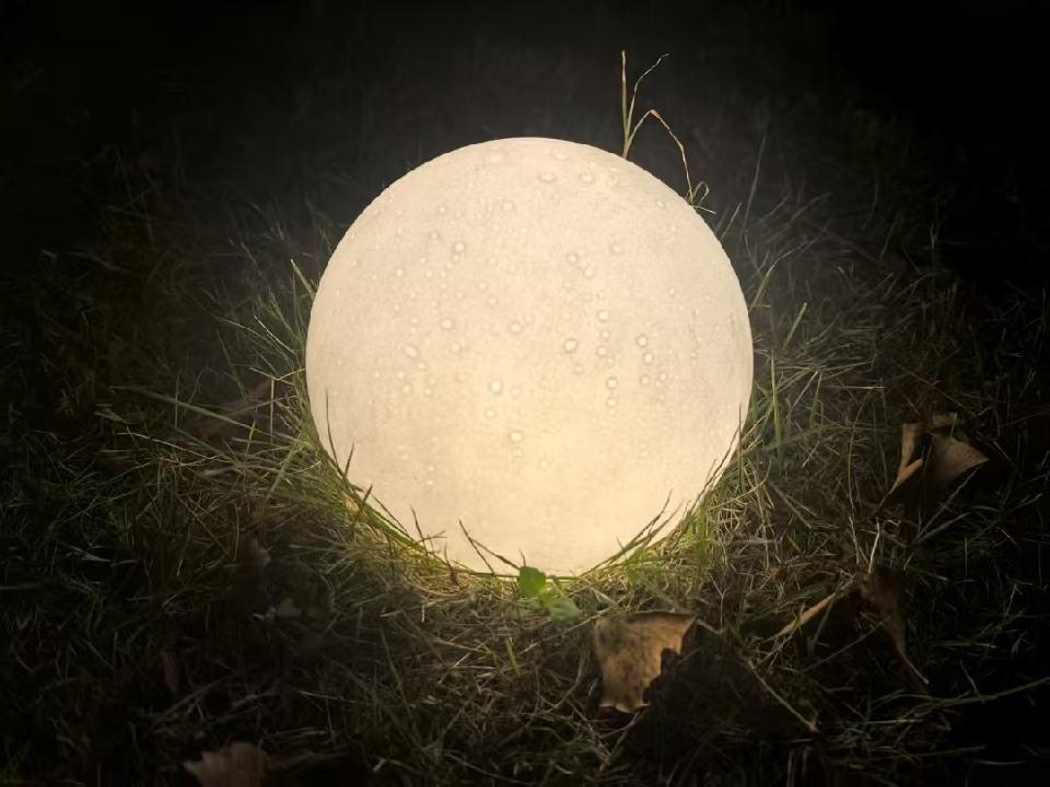 落在草地的月亮：作者||韩兰娜-朗诵||韩兰娜祝金蛇舞元宵，祥瑞临华夏联欢晚会圆满成功｜海外头条（图6）