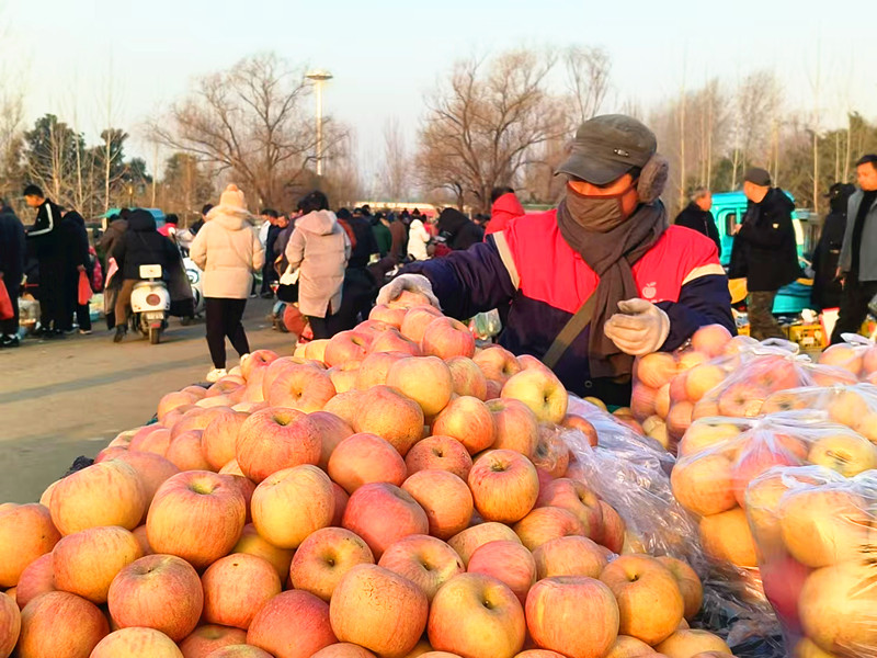 微信图片_20250219085624 微信图片_20250219085624
