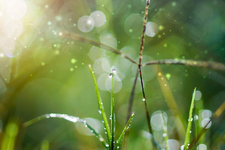 【新山东文学社】《我将在雨水里盘点新的一季》作者/褚向平 主播/远方(图4)