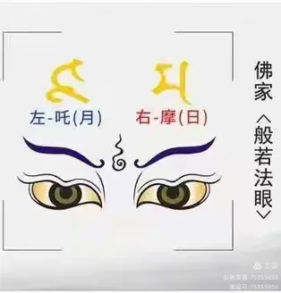 ［一个人的树洞］肉眼颠覆了我（文/悬泉置）……莲叶之珠文学社（图16）