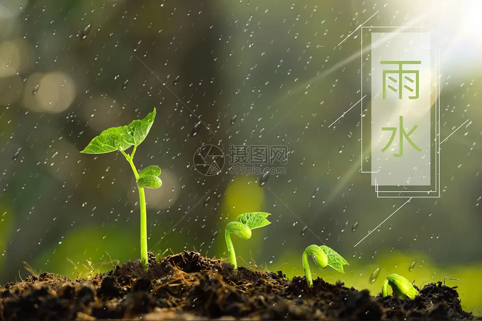 七律·雨水春情（韩满林）……莲叶之珠文学社