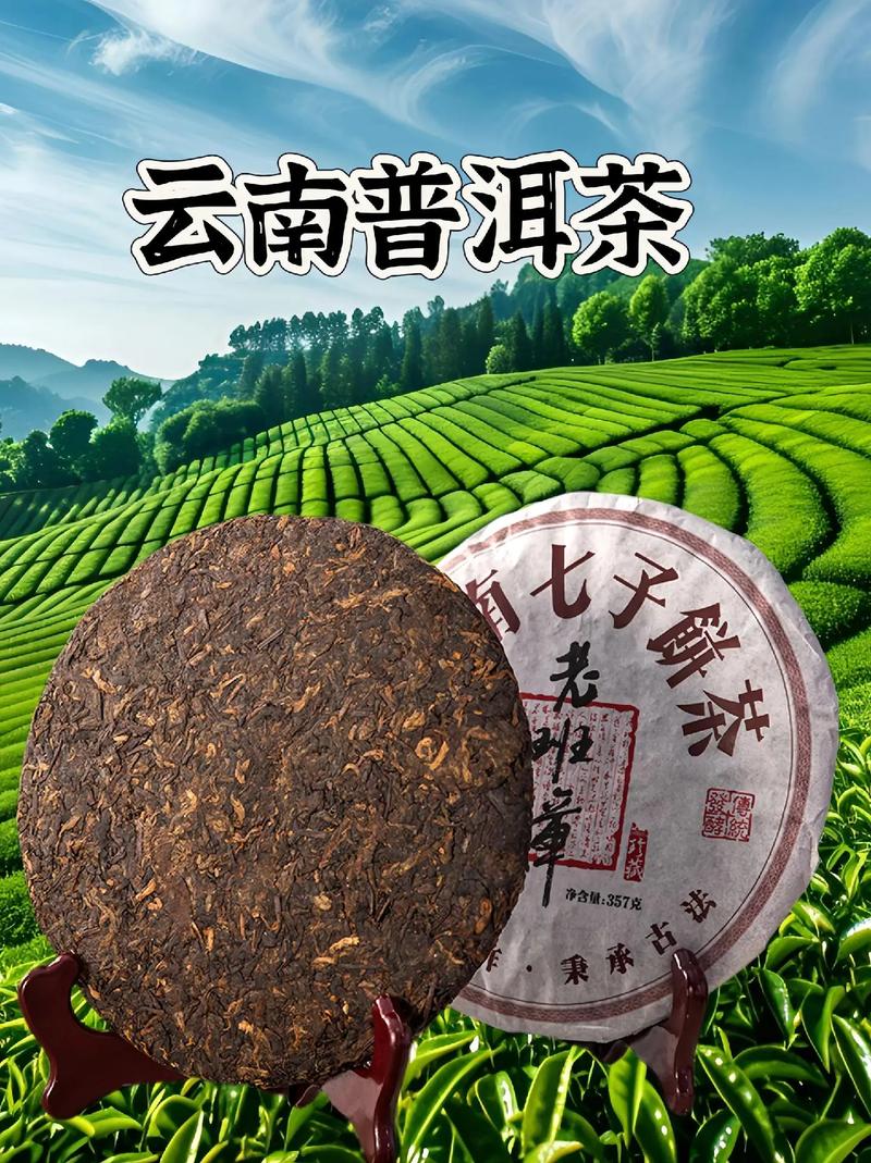 【国风燕赵诗社】徐国芳烟雨江南春游集锦六首（四）《北京头条》（图10）
