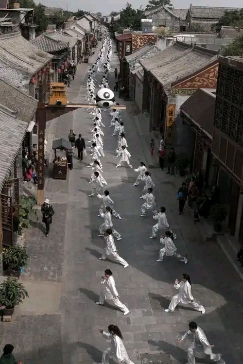 念奴娇-太极神韵～词||刘哲侬（图14）