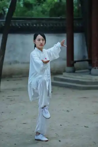 念奴娇-太极神韵～词||刘哲侬（图13）