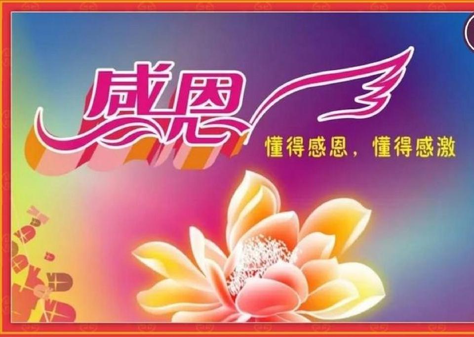 【新山东文学社】《做一个懂得感恩的人》作者/边风 主播/苏宁(图6)