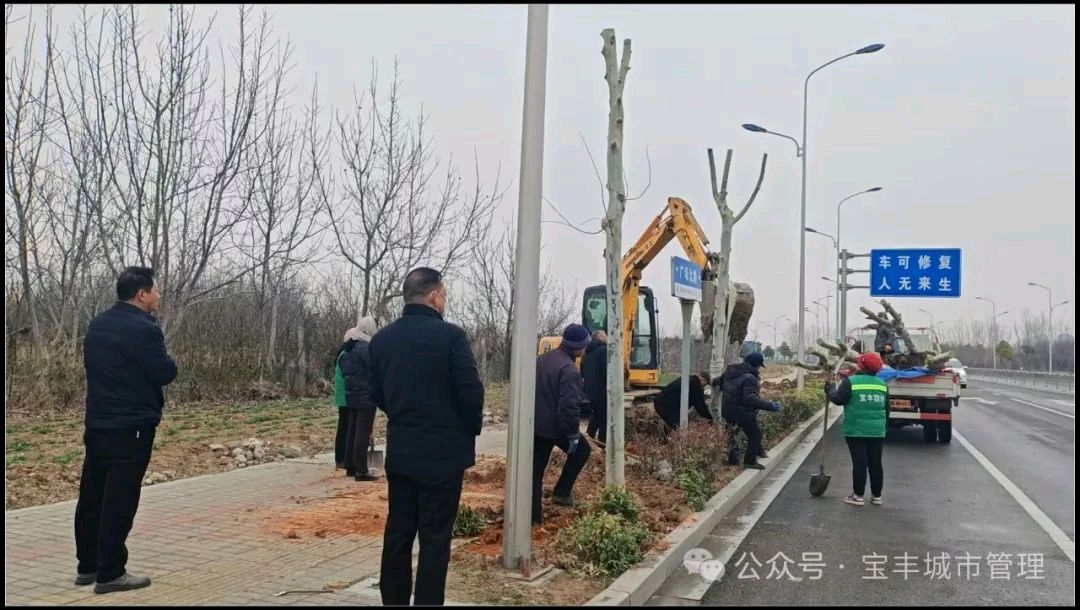 宝丰县城市管理局精心提升高铁片区绿化水平，致力于打造城市新名片（图2）