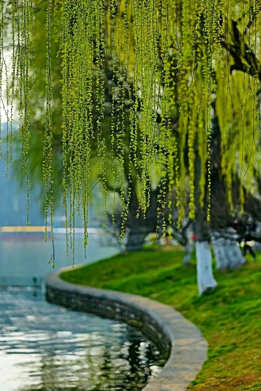 七律‖春吟 作者‖高虎证（图3）