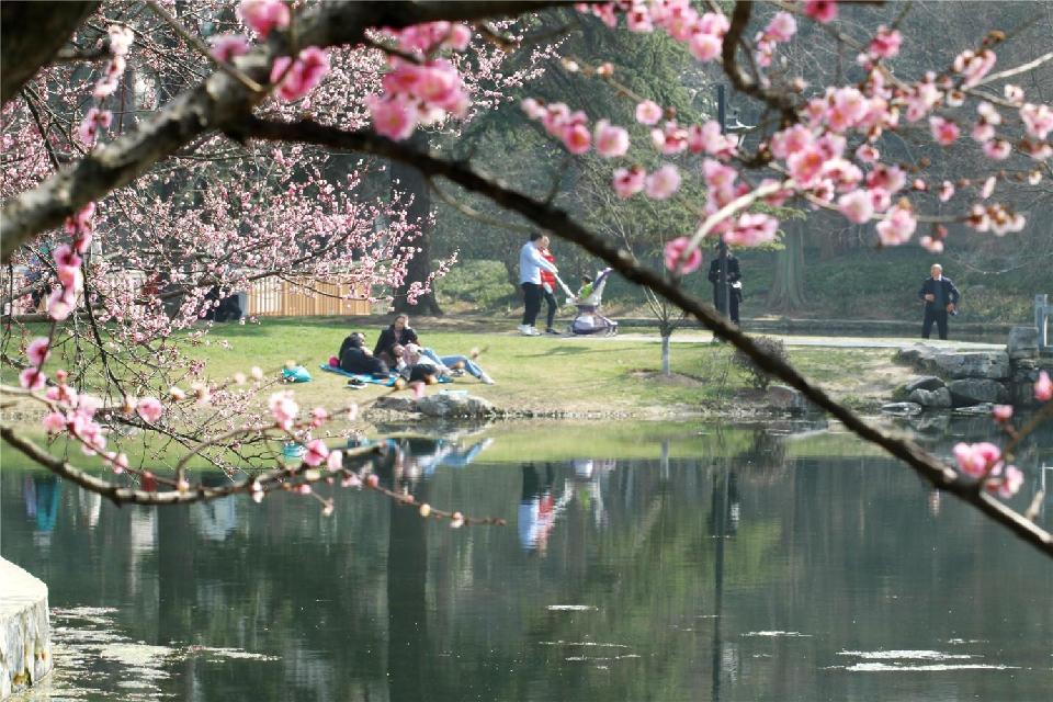 【新山东文学社】《怡情逸性早春行(十三首)》作者/江淮闲客 主播/天空(图6)