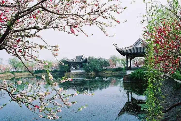 【新山东文学社】《早春的江南》作者/张秀祥 主播/菊心拾雨(图3)