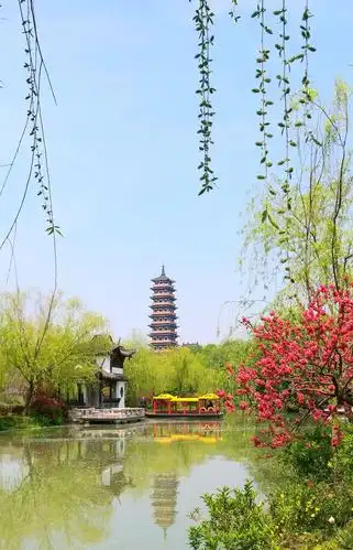 【新山东文学社】《早春的江南》作者/张秀祥 主播/菊心拾雨(图6)
