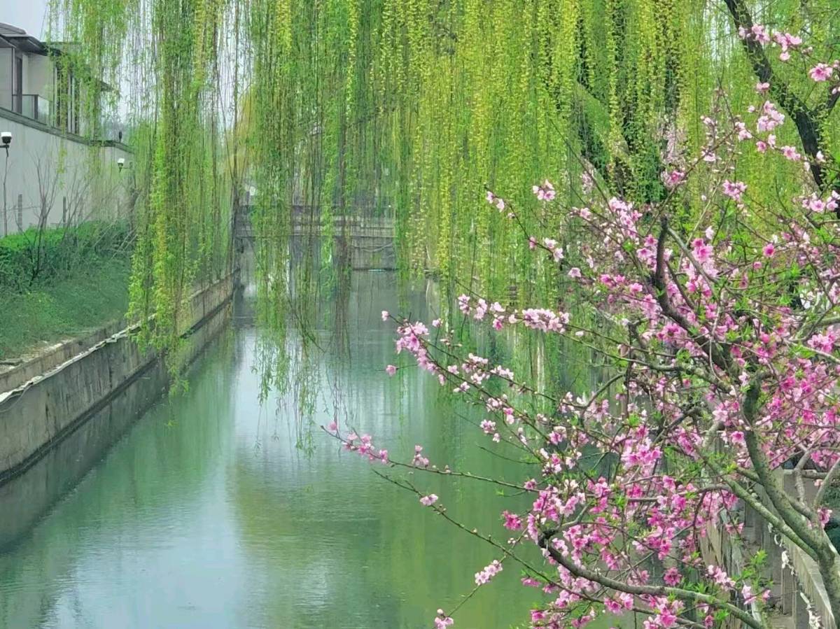 咏春.诗词四首/作者：平安是福（图5）