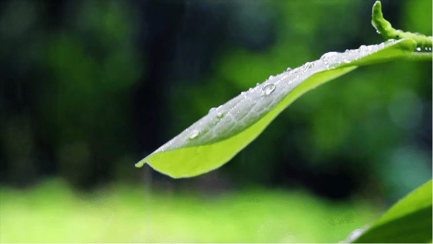 【神都诗社】第115期《春雨》(图8)