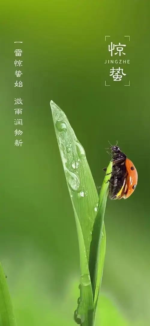 【上海头条】古韵飘香206期‖每旬题图（图4）