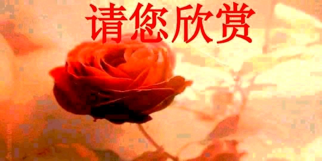 春雪文/图/青山新雨