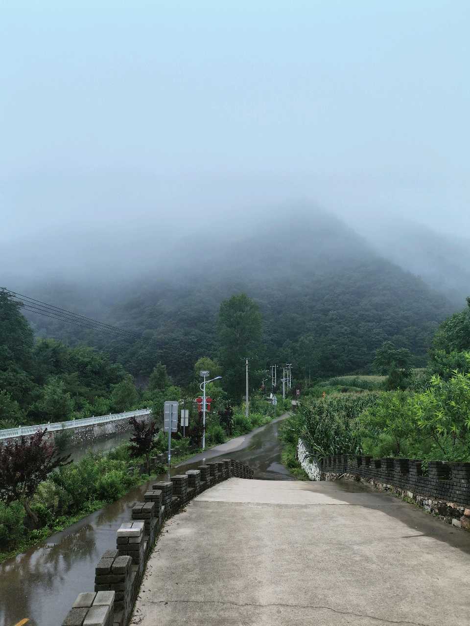 草木初发,远山朦胧——诗上庄诗社第139期作品(图4)