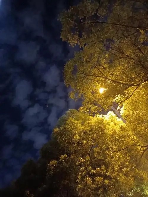古剑：《札记：夜里》海外头条（图5）