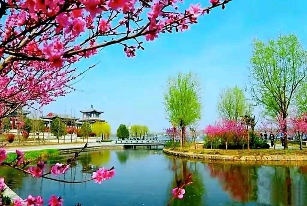 请欣赏江南居士佳词《霜天晓角 早春华厦》等四首（图3）