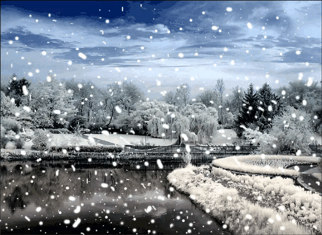 《三月的雪》作者:回泉山人 [中国现代诗歌文化传媒]（图6）