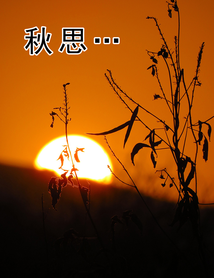 【新山东文学社】《春夜秋思》作者/书乐 主播/雨花石(图5)