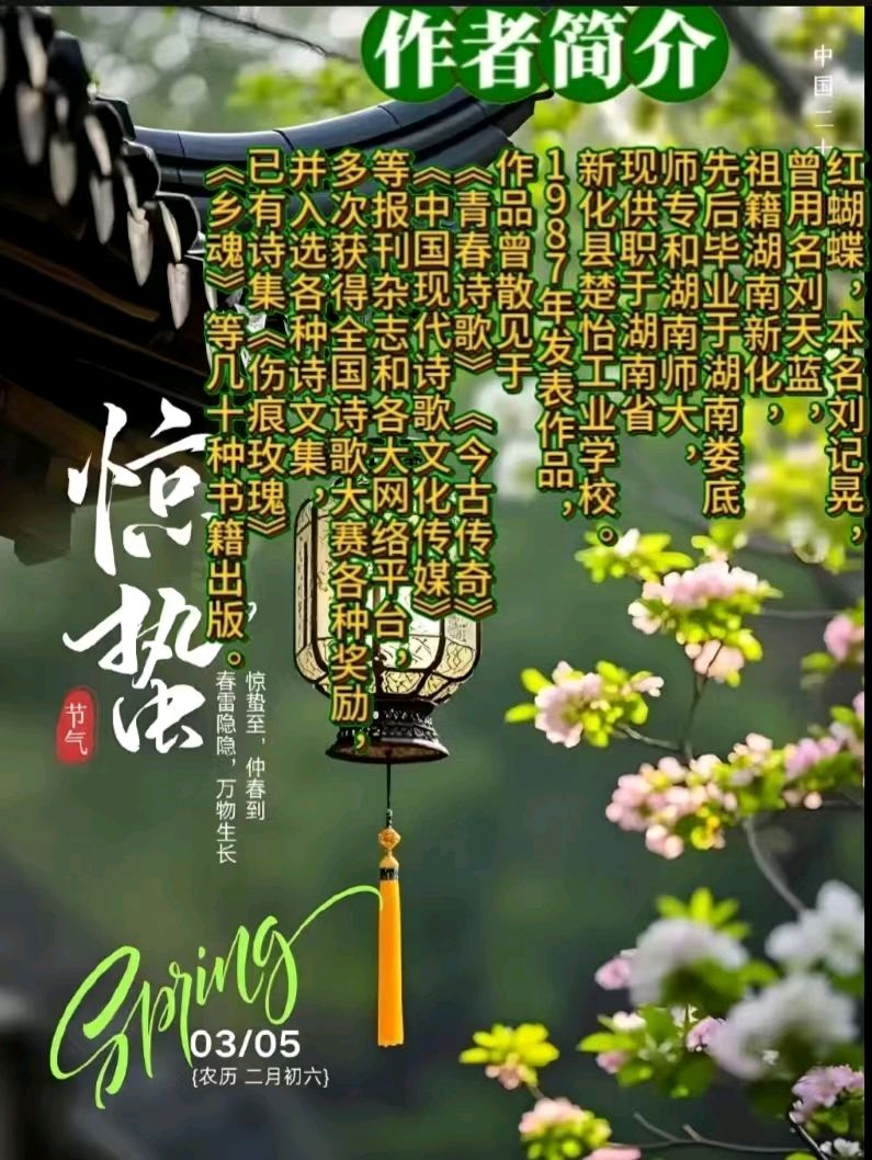 《现代诗人红蝴蝶现代诗词专辑》作者:红蝴蝶 [中国现代诗歌文化传媒]（图11）