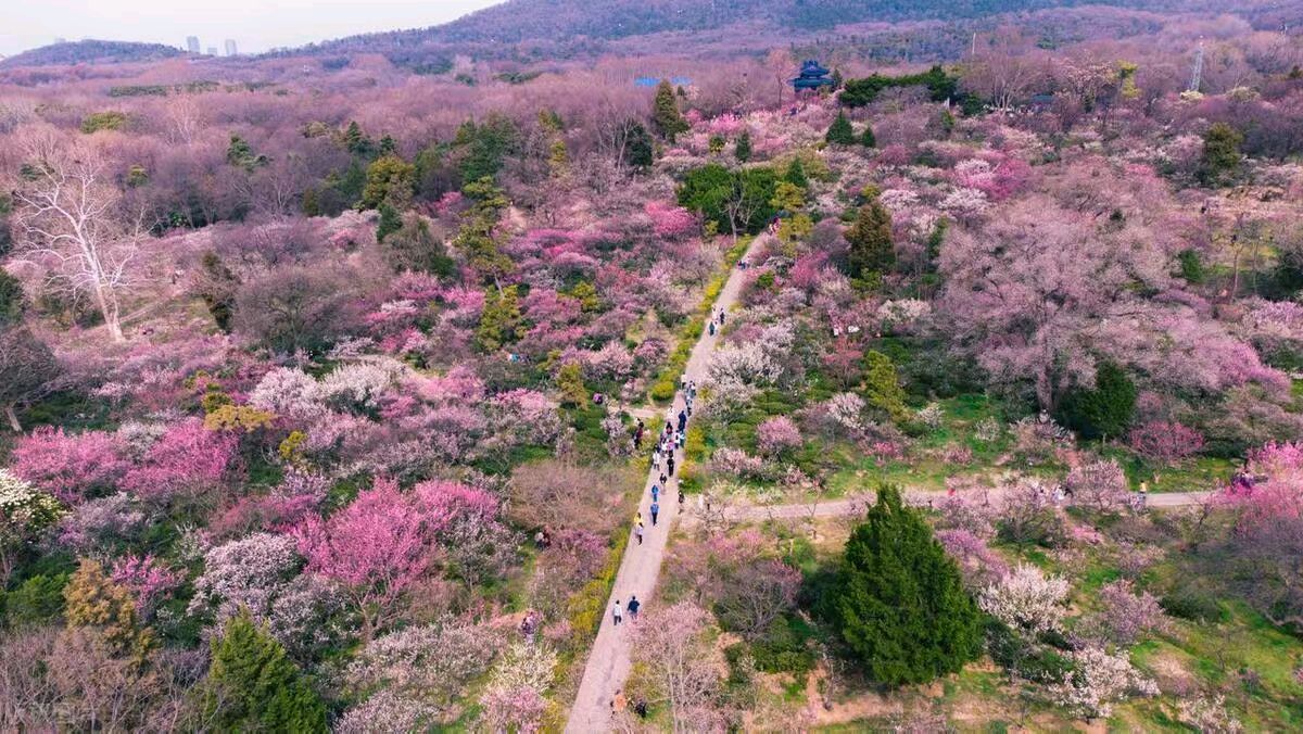 路（外一首）
