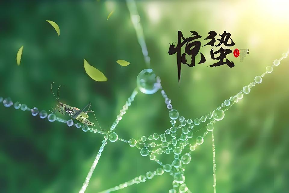 《春之韵》专刊｜海外头条（图7）