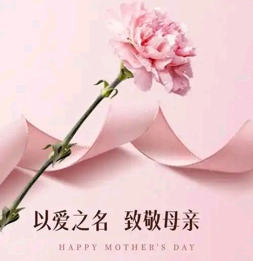 《女性之光》作者/朱海 合诵/傲雪红梅 张丽雨杉 金南冬日艳阳 雯煜//编辑制作/雨杉【花雨馨声】第750期（图8）
