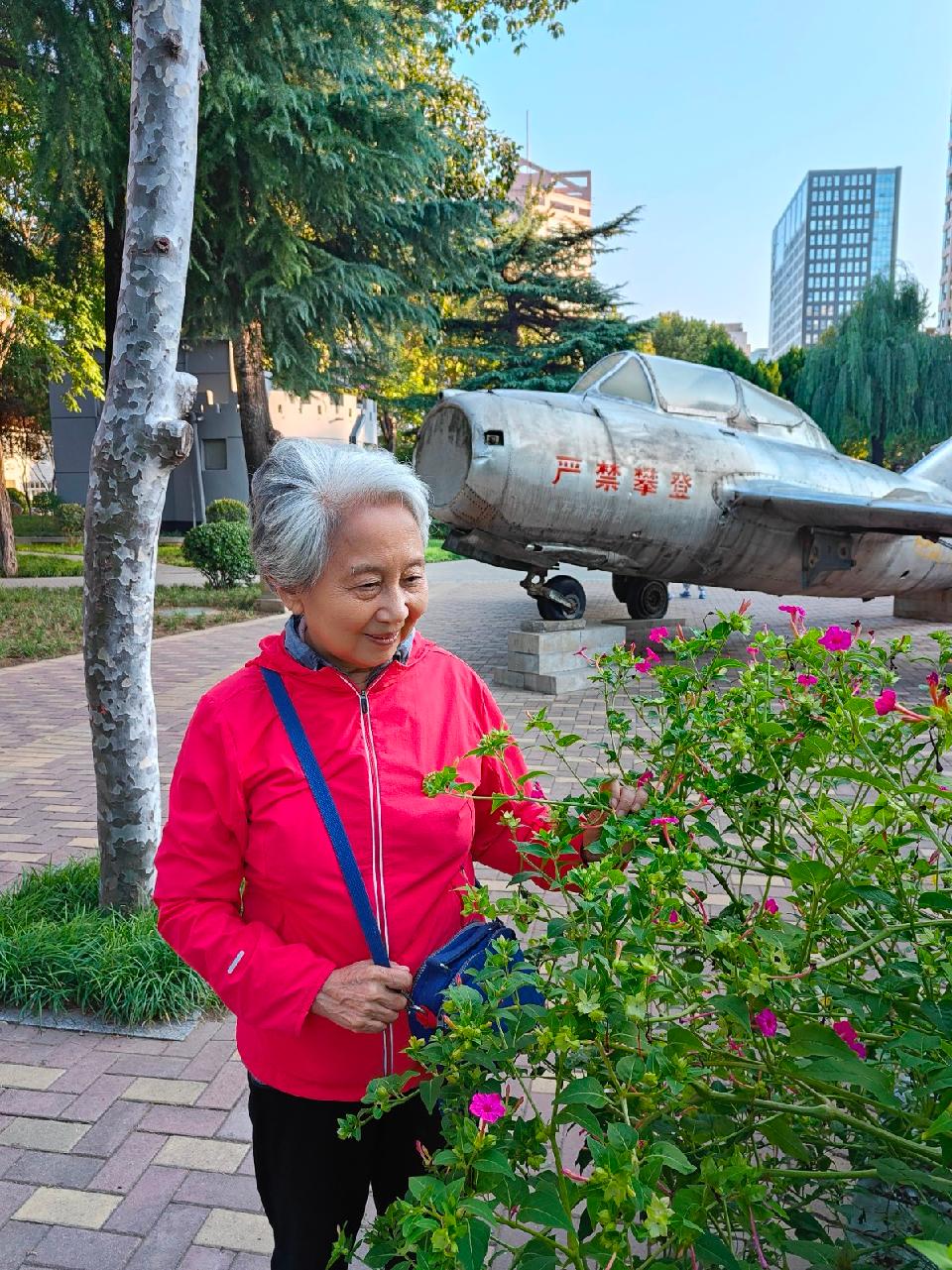 春光如海（图6）